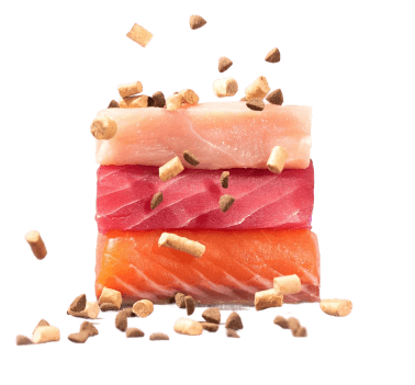 건강한 수제 간식