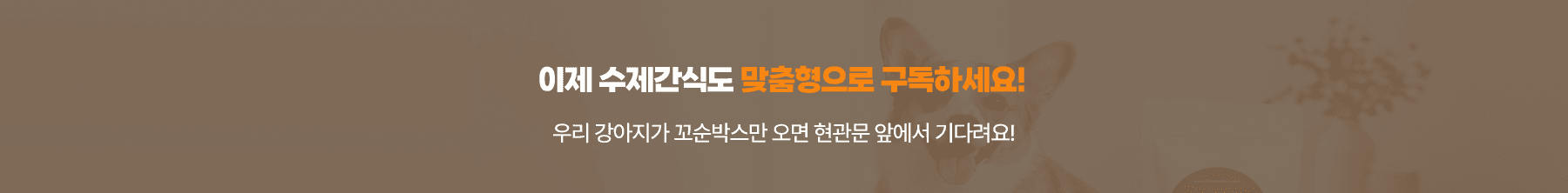 이제 수제 간식도 맞춤형으로 구독하세요