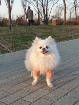 몽땅 프로필