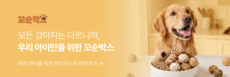 꼬순박스 배너 — 체크리스트 작성하러 가기