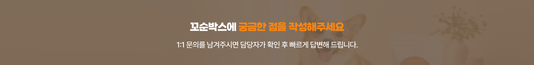 꼬순박스에 궁금한 점을 작성해주세요. 1:1 문의를 남겨주시면 담당자가 확인 후 빠르게 답변해 드립니다.